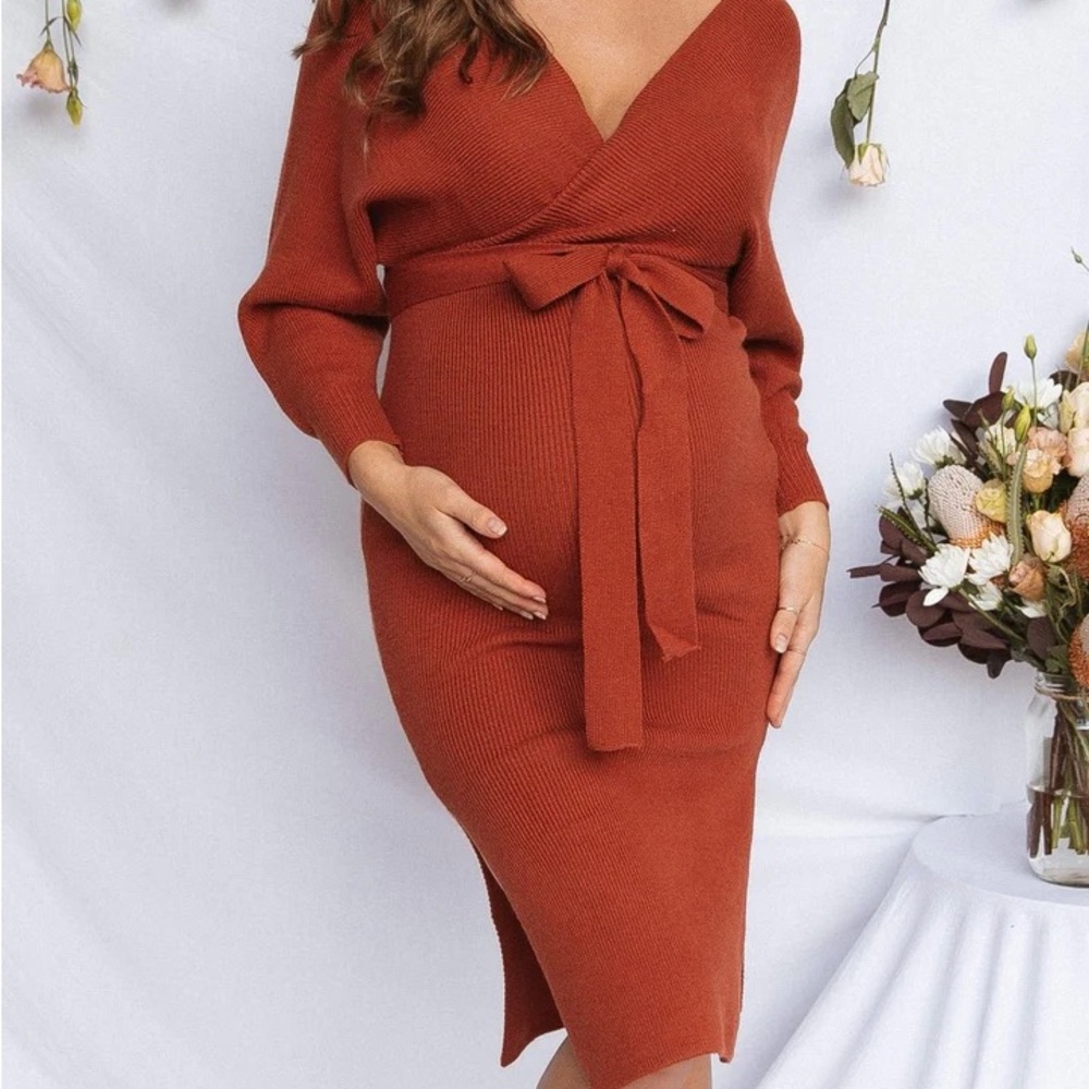 NWT Petal & Pup Bambina Dress in Rust